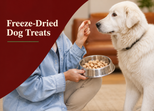 The Health Benefits of Freeze-Dried Dog Treats for your Pet