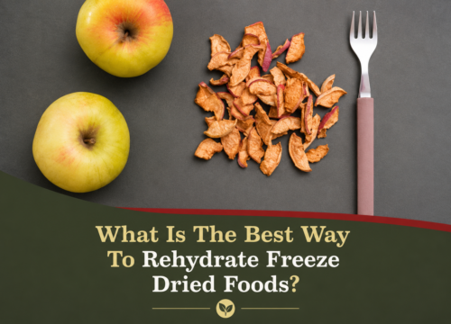 The Best Methods For Rehydrating Freeze Dried Food