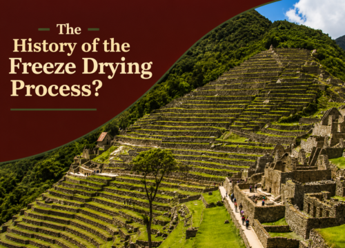 What Is the History of the Freeze Drying Process?